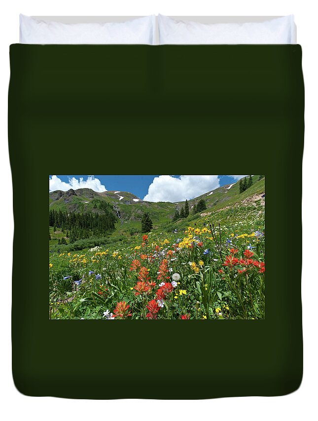 Black Bear Pass Duvet Cover featuring the photograph Black Bear Pass Landscape by Cascade Colors