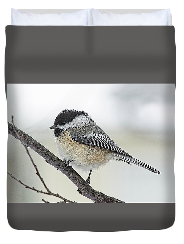 Chickadee Duvet Cover featuring the photograph Black-Capped Chickadee by Jim Zablotny