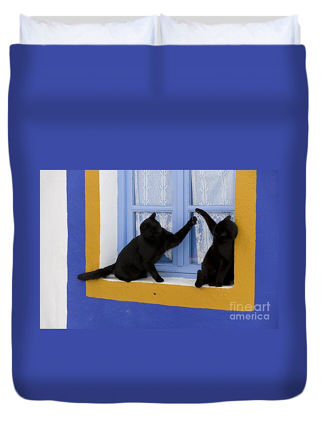 Cat Duvet Cover featuring the photograph Black Cats Fighting by Jean-Louis Klein and Marie-Luce Hubert