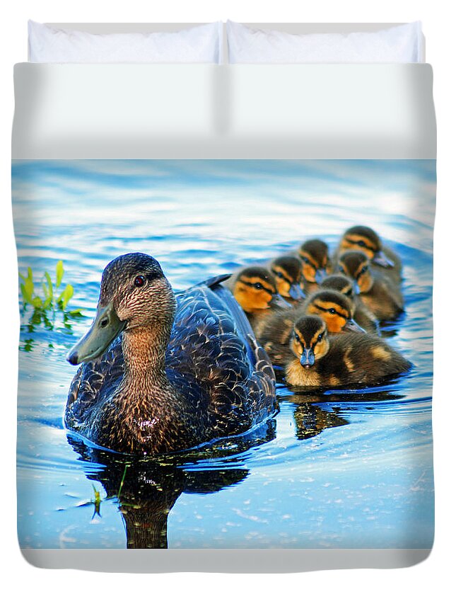 Black Duck Duvet Cover featuring the photograph Black duck brood by Gary Corbett