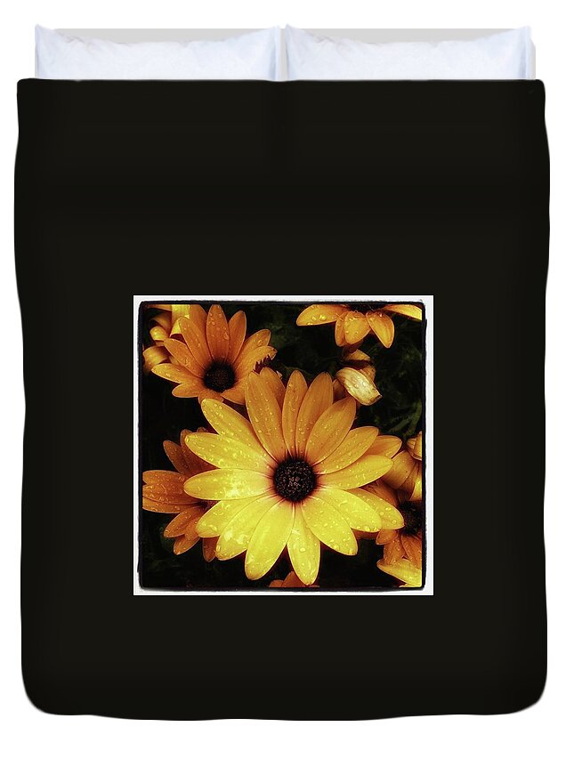 Flowers Duvet Cover featuring the photograph Black Eyed Susans. Looks Like They're by Mr Photojimsf