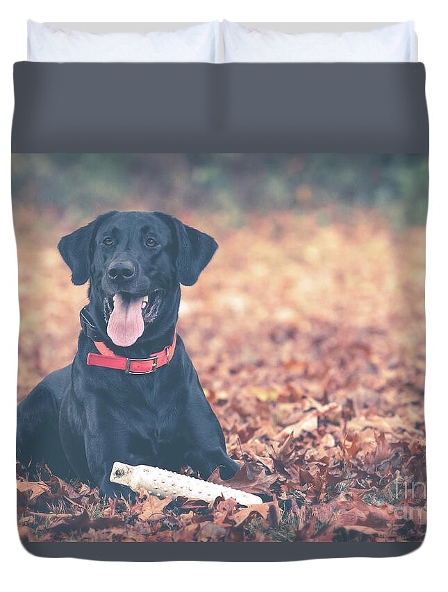 Etriever Duvet Cover featuring the photograph Black Labrador in the Fall Leaves by Eleanor Abramson