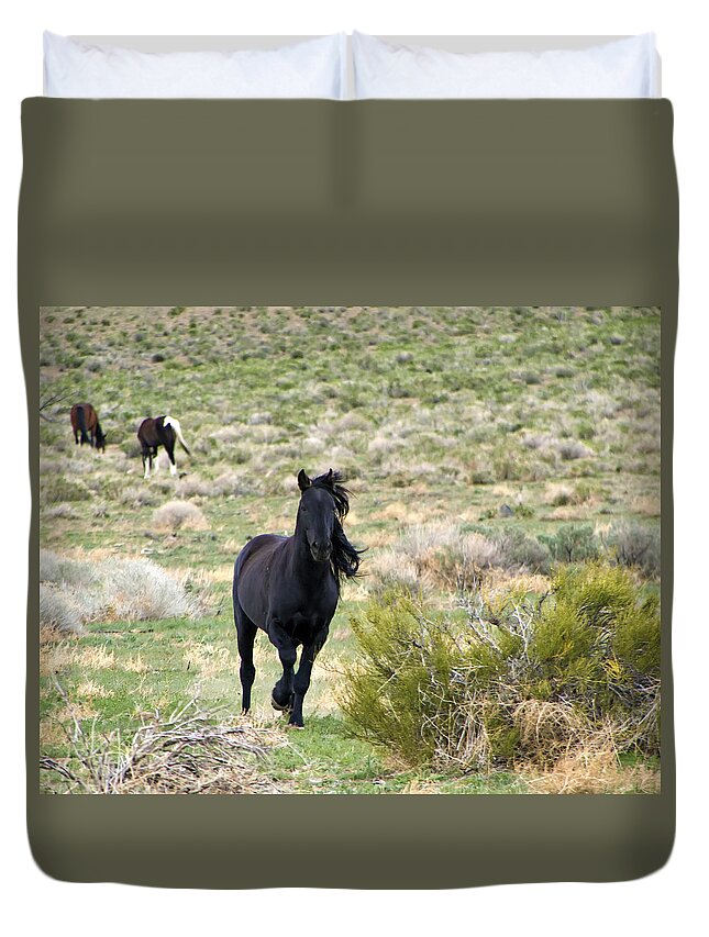 Horses Duvet Cover featuring the photograph Black Mustang Stallion Running by Waterdancer