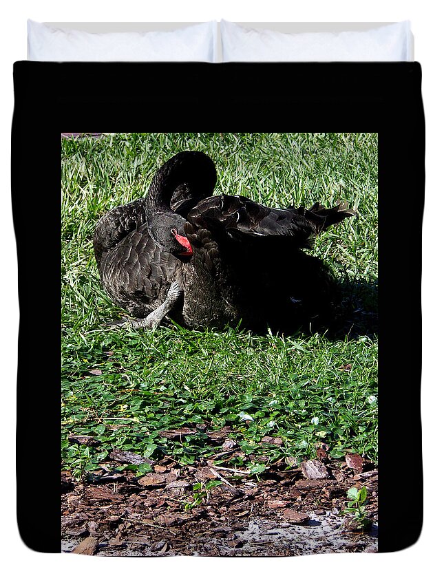 Black Swan Duvet Cover featuring the photograph Black Swan by Christopher Mercer