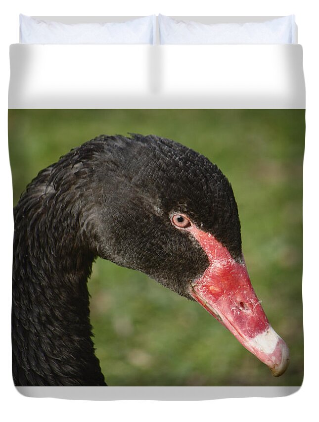 Bird Duvet Cover featuring the photograph Black Swan Portrait by Adrian Wale