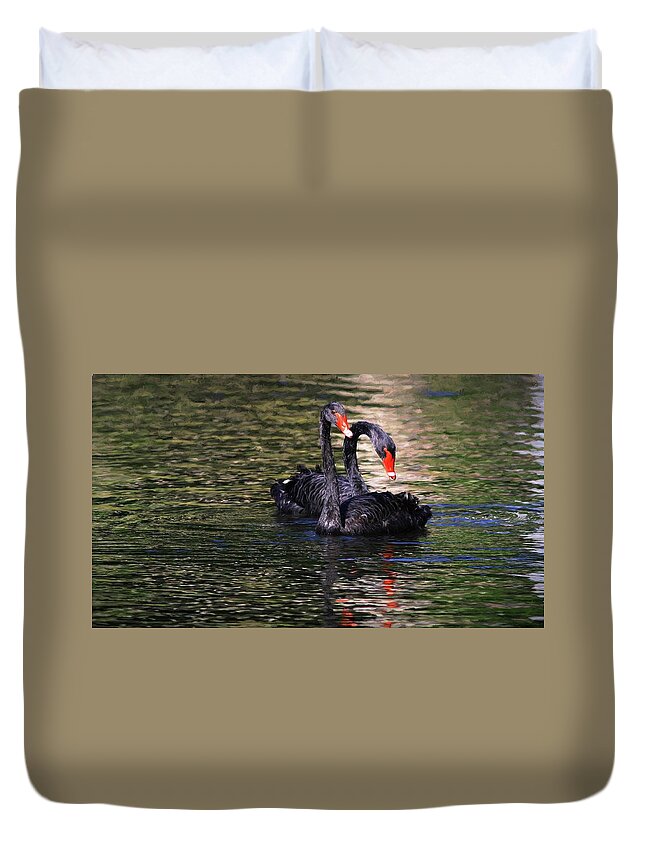 Black Swan Duvet Cover featuring the photograph Black Swans II by Carol Montoya