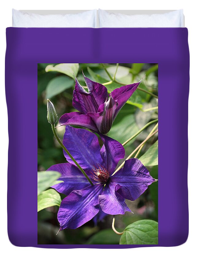 Abundant Duvet Cover featuring the photograph Black Tea Clematis by Tammy Pool