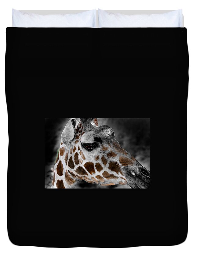 Giraffe Duvet Cover featuring the photograph Black White and Color Giraffe by Anthony Jones