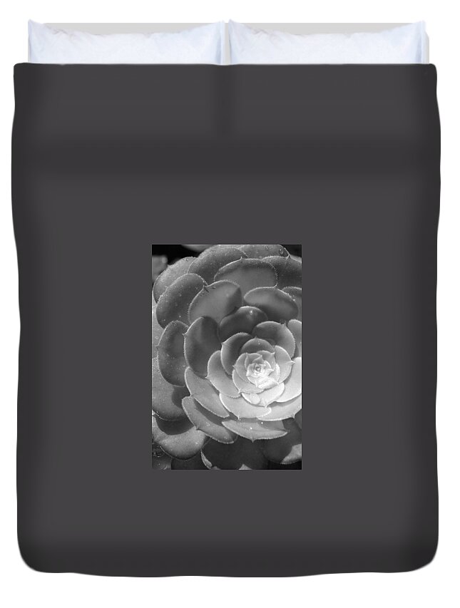 Flower Duvet Cover featuring the photograph Blackand White Cabbage Cactus by Amy Fose