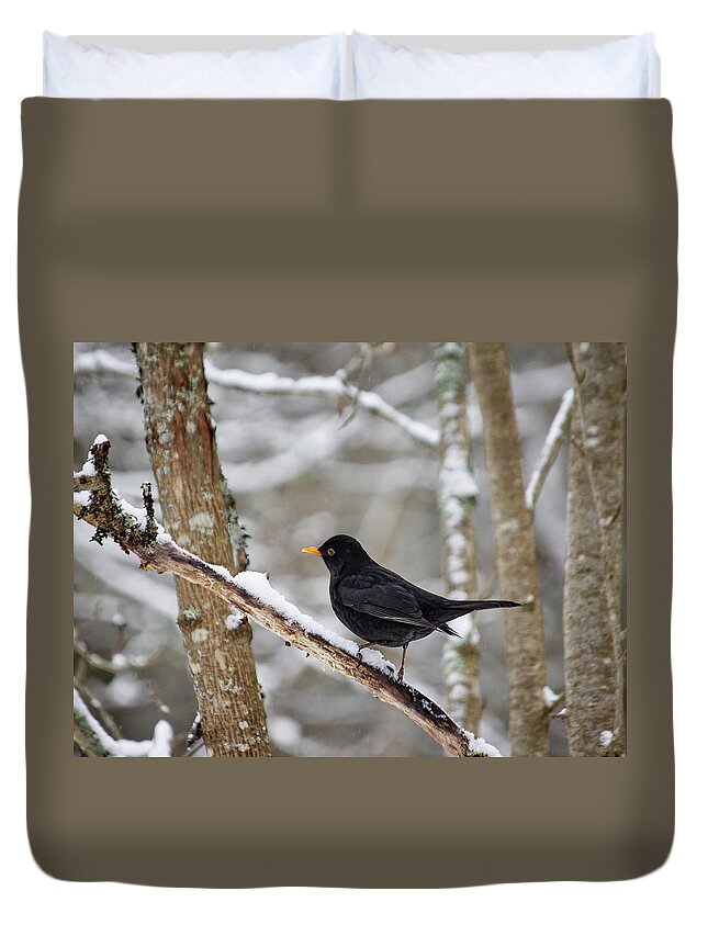 Lehtokukka Duvet Cover featuring the photograph Blackbird forest by Jouko Lehto
