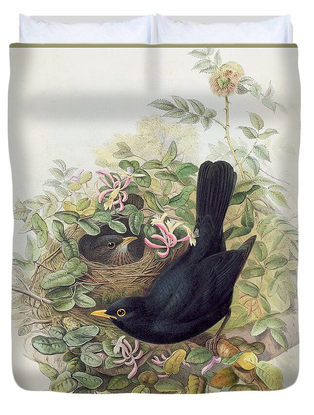 Blackbird Duvet Cover featuring the painting Blackbird, by John Gould