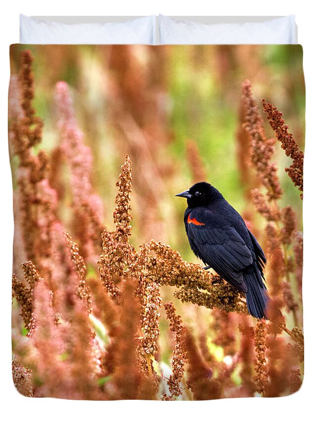 Agelaius Phoeniceus Duvet Cover featuring the photograph Blackbird by Paul Riedinger