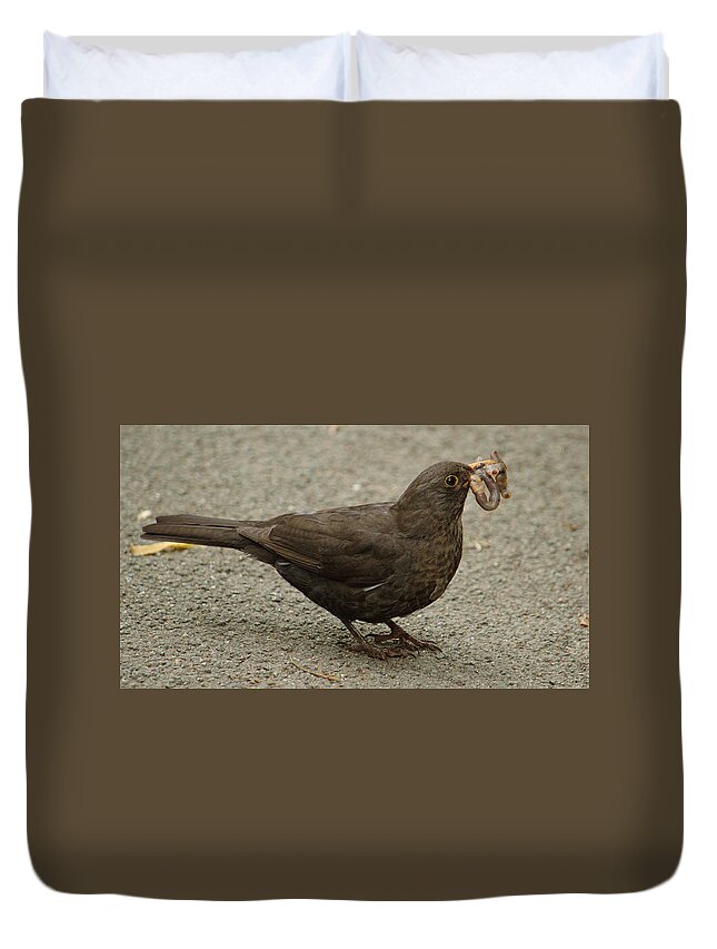 Bird Duvet Cover featuring the photograph Blackbird With Severed Worm by Adrian Wale