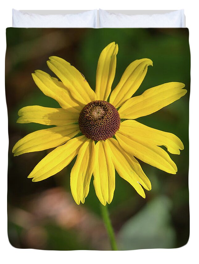 Blackeyed Susan Duvet Cover featuring the photograph Blackeyed Susan by Paul Rebmann