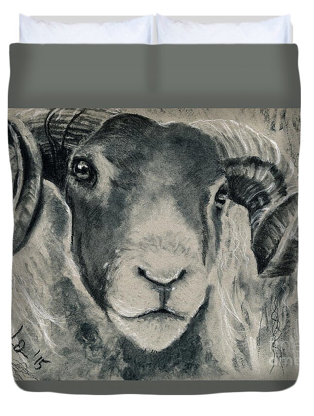 Charcoal Duvet Cover featuring the drawing Blackface Mountain Sheep by Lidija Ivanek - SiLa