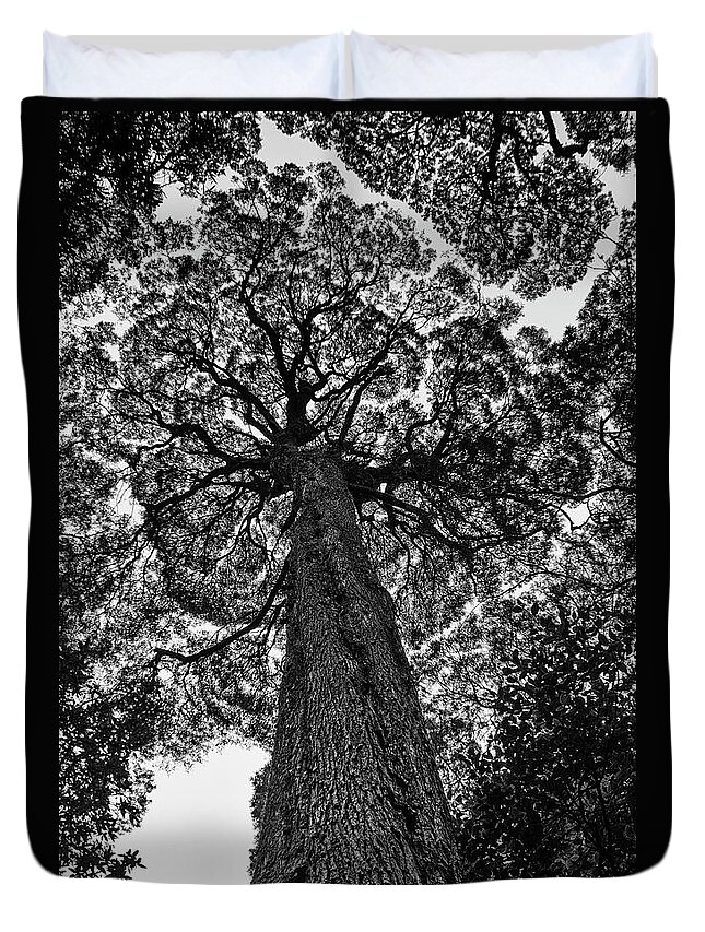 Tree Duvet Cover featuring the photograph Blackwood by Tony Crehan