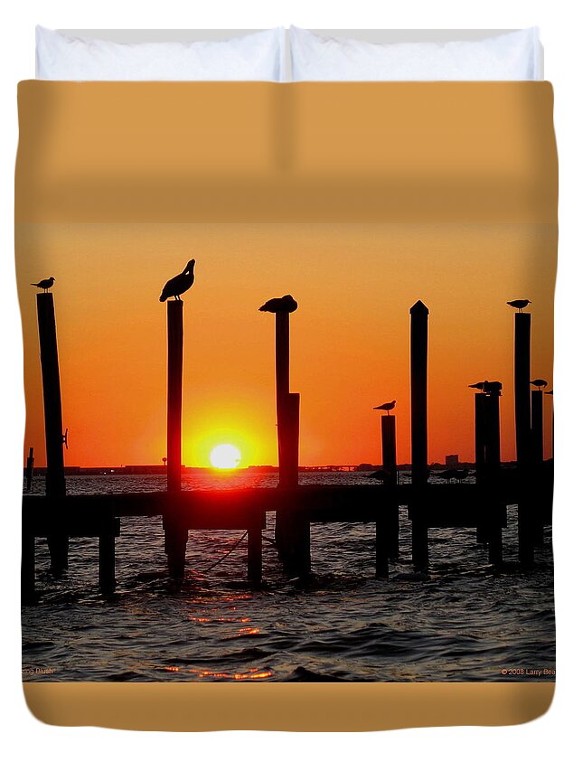 Destin Duvet Cover featuring the photograph Blazing Blush by Larry Beat