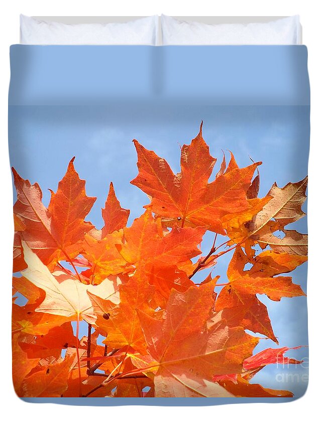 Fall Duvet Cover featuring the photograph Blazing Maple by Barbara Von Pagel