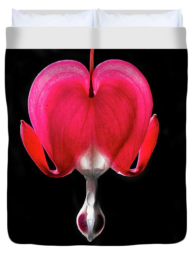 Asian Bleeding-heart Duvet Cover featuring the photograph Bleeding heart by Torbjorn Swenelius