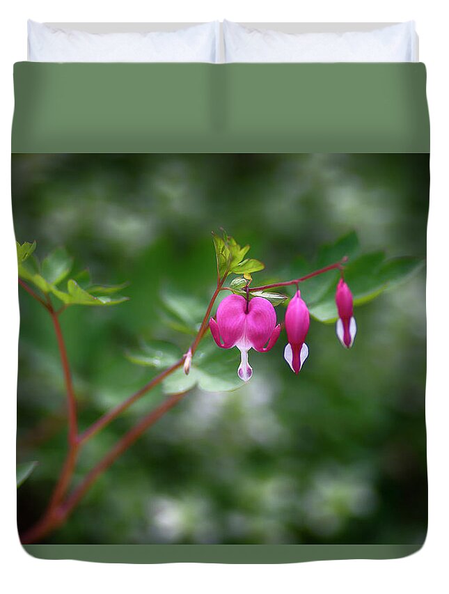  Duvet Cover featuring the photograph Bleeding Hearts by Dan Hefle