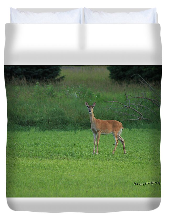  Nature Photography Duvet Cover featuring the photograph Blessings found in nature by Robert Carey