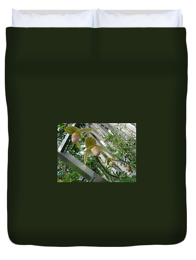 Blonde Orchid Buds Duvet Cover featuring the photograph Blonde Insect Orchid Buds by Susan Nash
