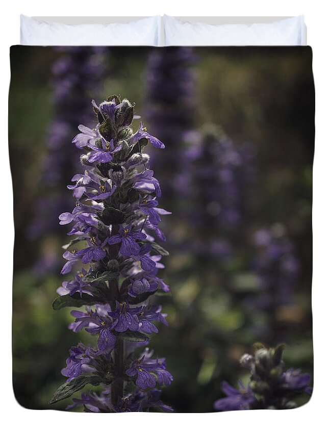 Spring Duvet Cover featuring the photograph Blooming by Eduard Moldoveanu