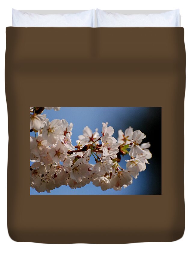 Cherry Blossom Trees Duvet Cover featuring the photograph Blooming In Light by Angie Tirado