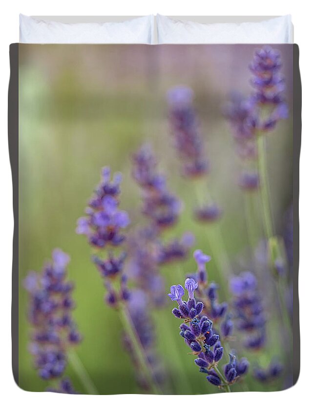 Blooming Lavender Duvet Cover For Sale By Kristen Wilkinson