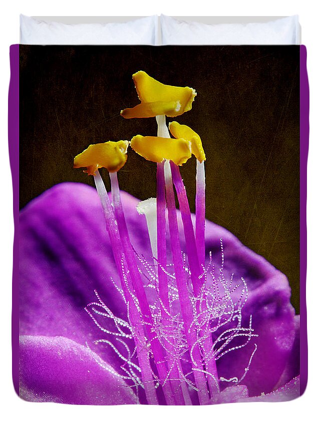 Purple Heart Flower Duvet Cover featuring the photograph Blooming Purple Heart by Michael Eingle