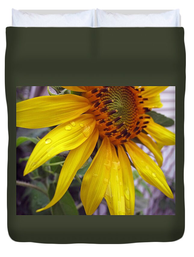 Flower Duvet Cover featuring the photograph Blooming Sunflower by Barbara McDevitt