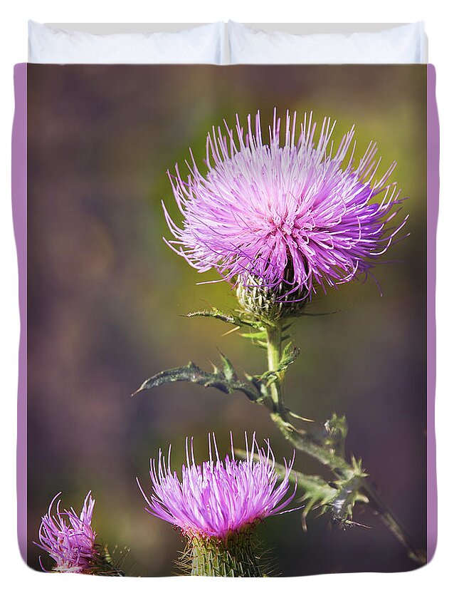 Nature Duvet Cover featuring the photograph Blooming Thistle by Sharon McConnell