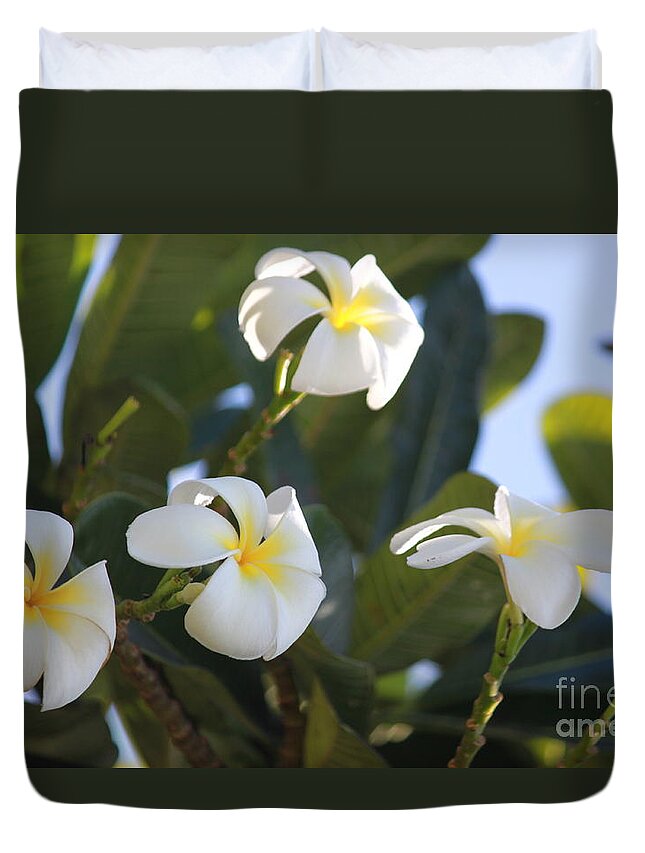 Plumeria Duvet Cover featuring the photograph Blooms in Paradise by Bev Veals