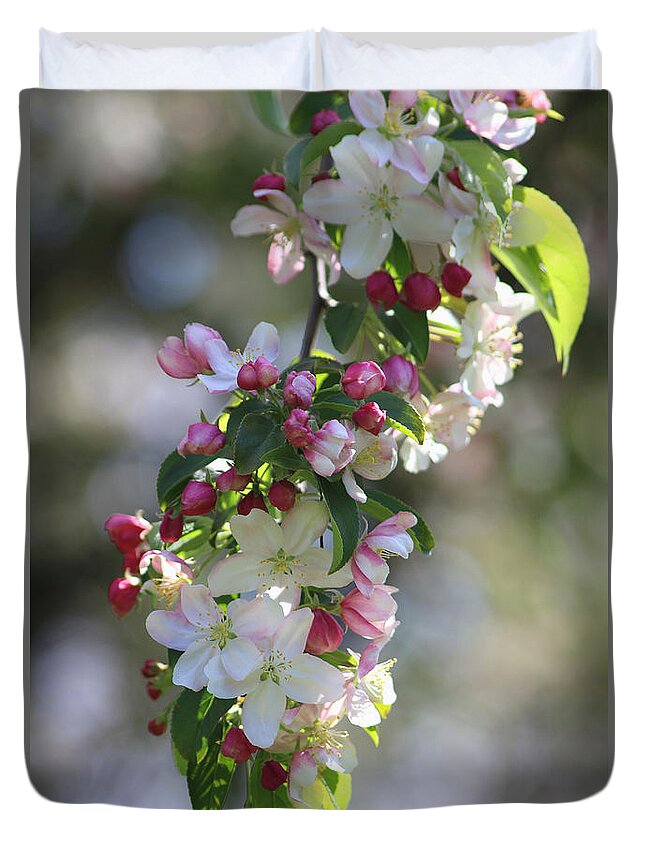 Crab Apple Duvet Cover featuring the photograph Blossom Spray by Living Color Photography Lorraine Lynch