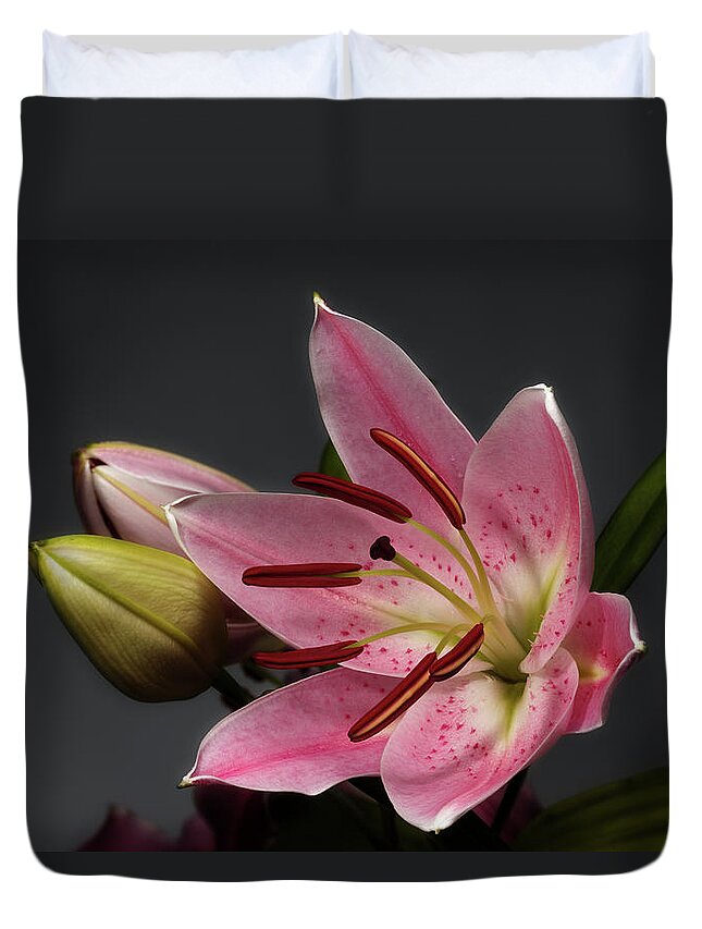 Blossom Duvet Cover featuring the photograph Blossoming Pink Lily Flower on dark Background by Sergey Taran