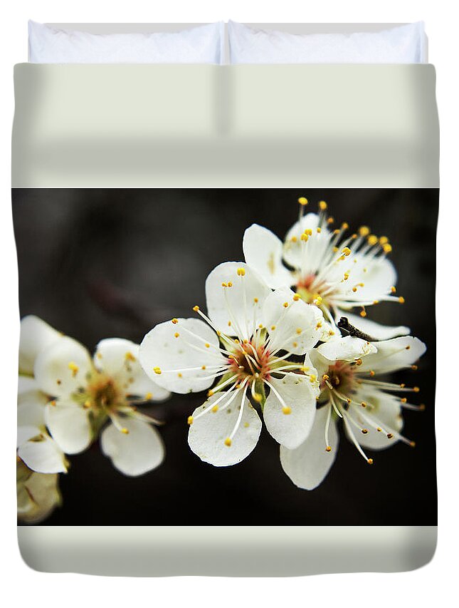 Trees Duvet Cover featuring the photograph Blossoms of Spring by Holly Ross