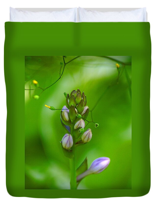 Nature Duvet Cover featuring the photograph Blossom Dream by Ben Upham III