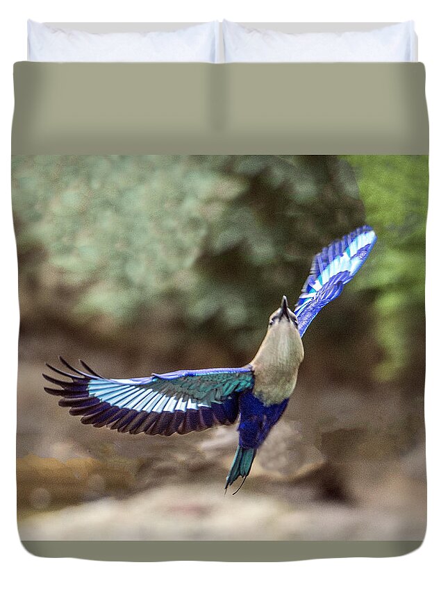 Bird Duvet Cover featuring the photograph Blue-bellied Roller In Flight by William Bitman