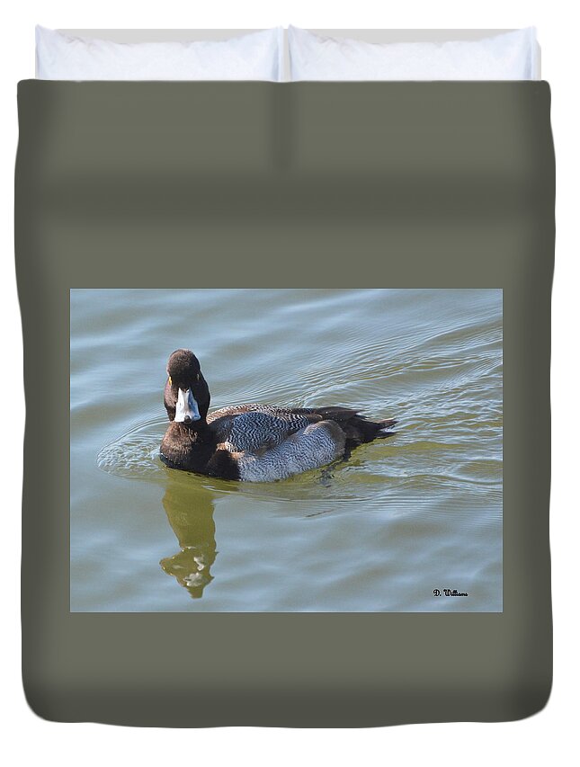 Scaup Duvet Cover featuring the photograph Blue Bill by Dan Williams