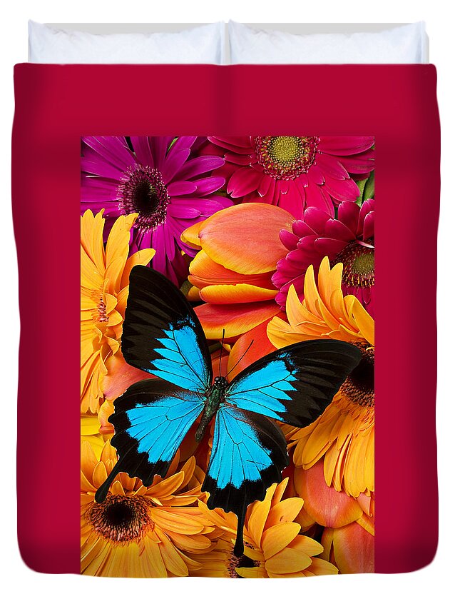 Blue Butterfly On Brightly Colored Flowers Duvet Cover For Sale By
