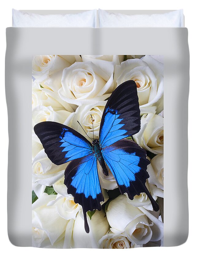 Blue Butterfly Duvet Cover featuring the photograph Blue butterfly on white roses by Garry Gay