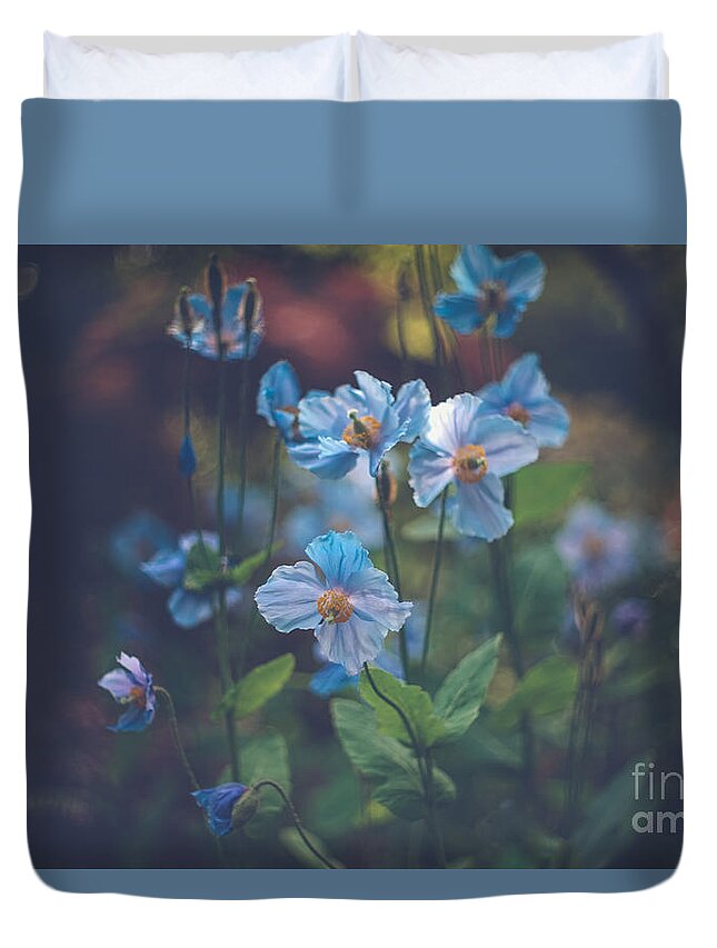Blue Himalayan Poppies Duvet Cover featuring the photograph Blue by Carrie Cole
