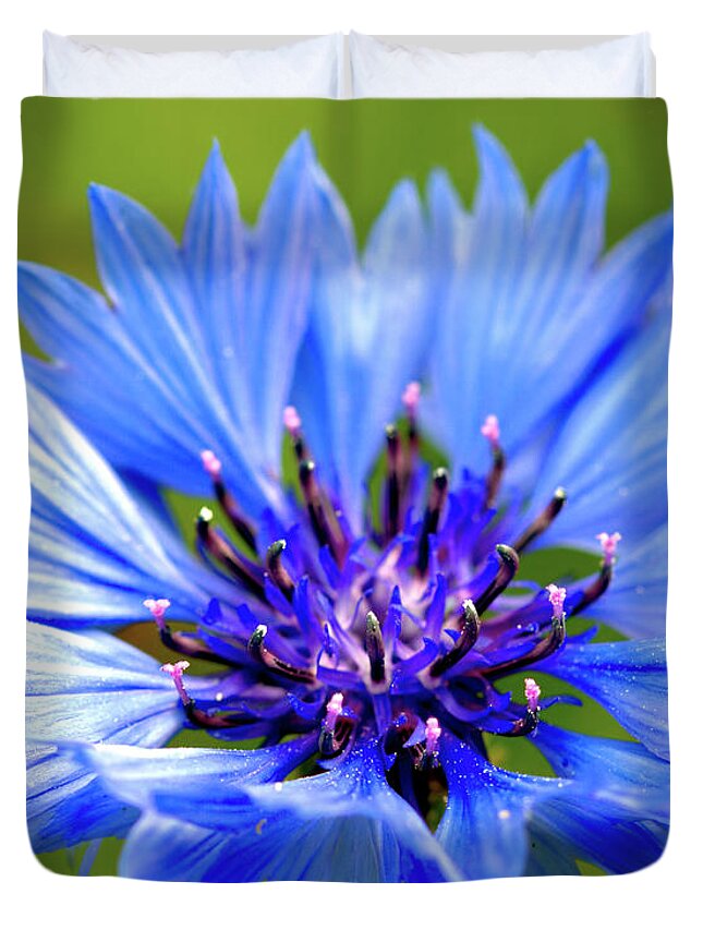 Macro Duvet Cover featuring the photograph Blue Cornflower by Baggieoldboy