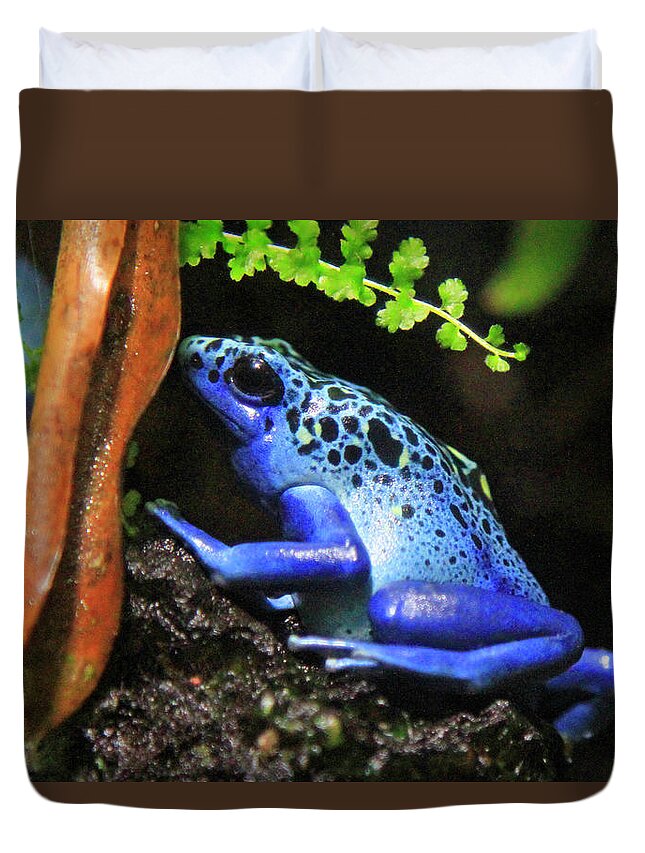Frog Duvet Cover featuring the photograph Blue Dart Frog by Shoal Hollingsworth