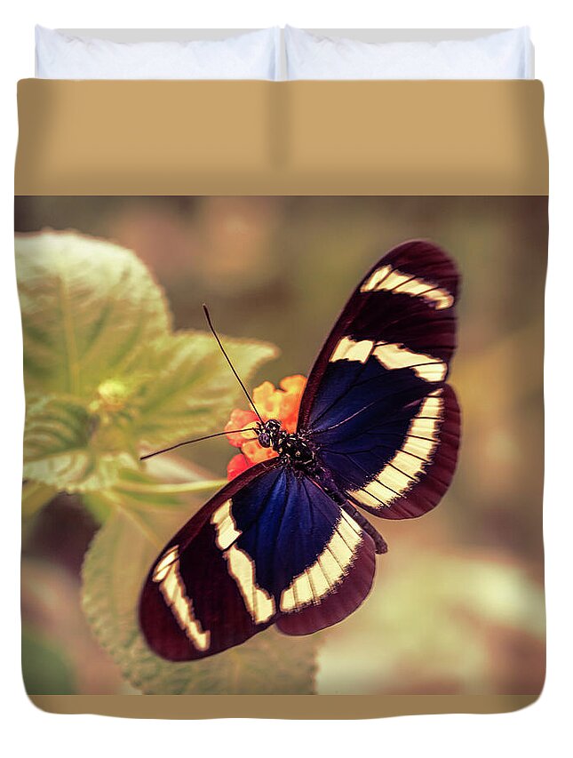 Butterfly Duvet Cover featuring the photograph Blue Doris Longwing Butterfly by Tim Abeln