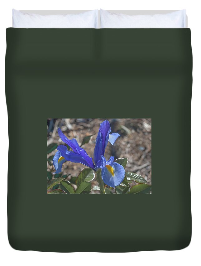 May Arboretum Duvet Cover featuring the photograph Blue Dutch Iris by Rick Mosher