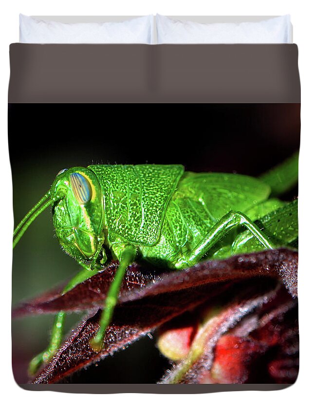 Macro Duvet Cover featuring the photograph Blue Eyed Green Grasshopper 001 by George Bostian