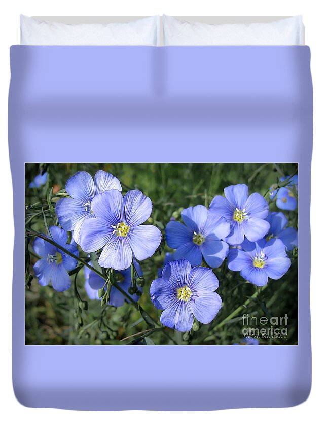 Flowers Duvet Cover featuring the photograph Blue Flowers in the Sun by Todd Blanchard