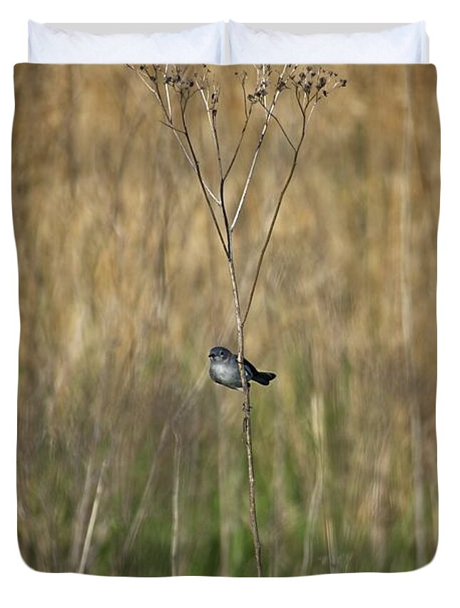 Wildlife Duvet Cover featuring the photograph Blue-grey Gnatcatcher by John Benedict