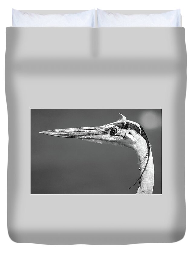 Blue Duvet Cover featuring the photograph Blue Heron by David Hart